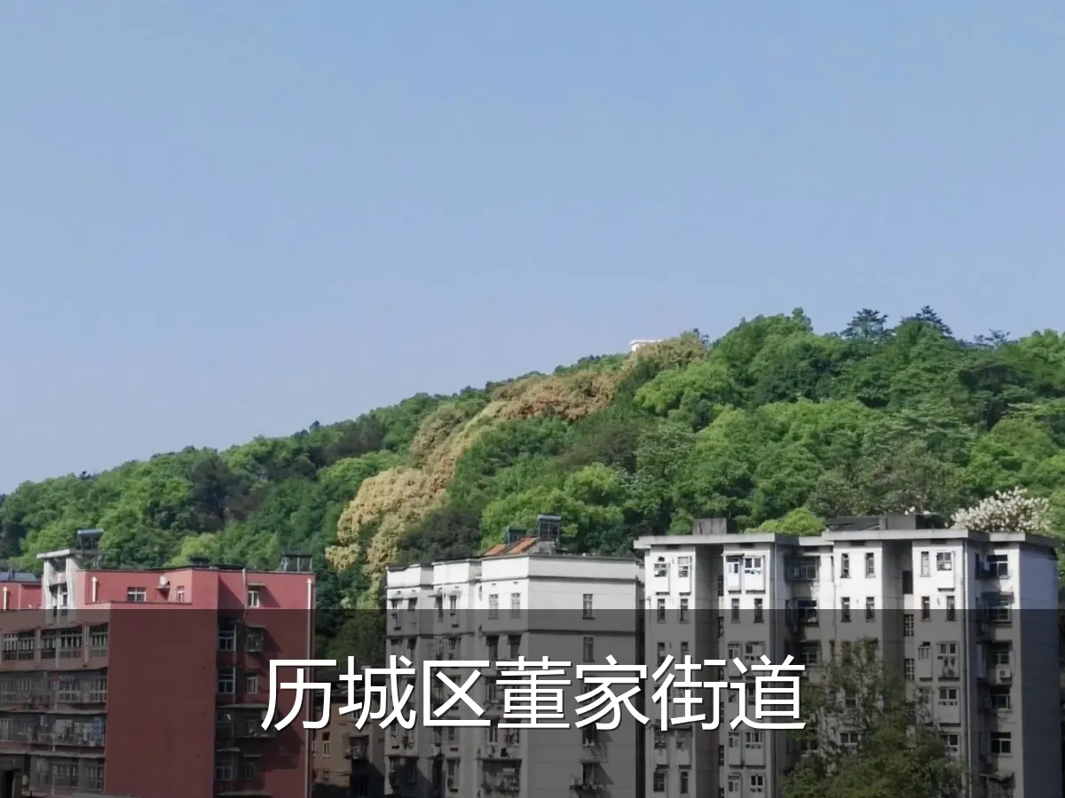 历城区董家街道