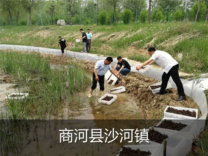 商河县沙河镇