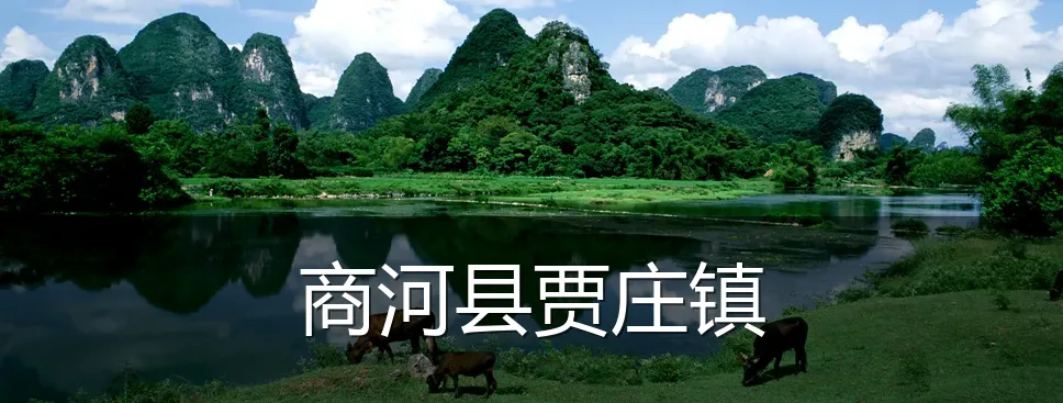 商河县贾庄镇