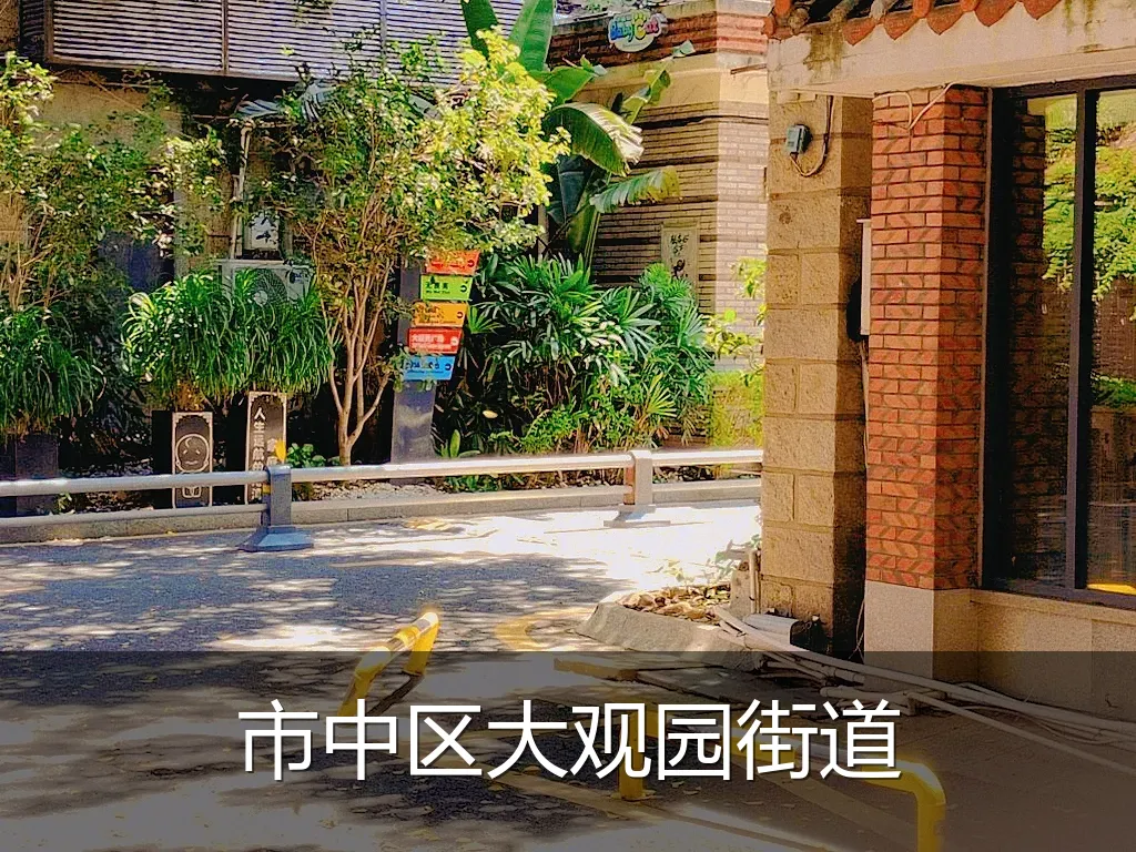 市中区大观园街道