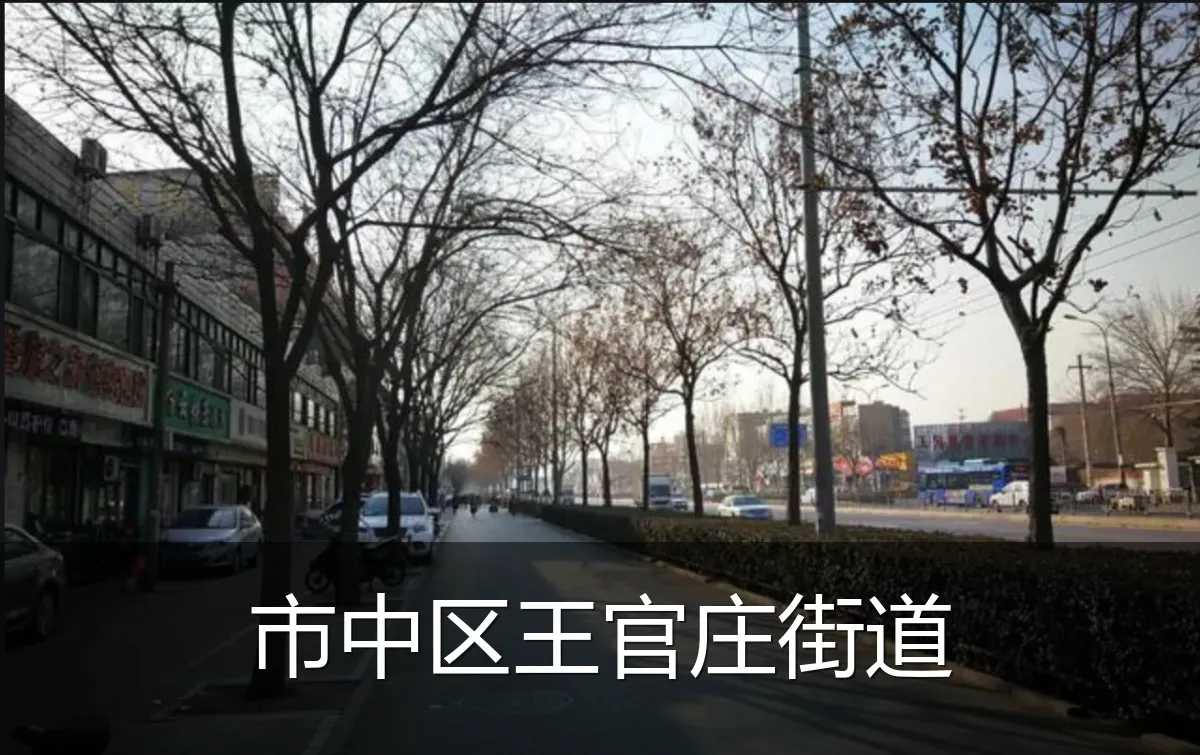 市中区王官庄街道