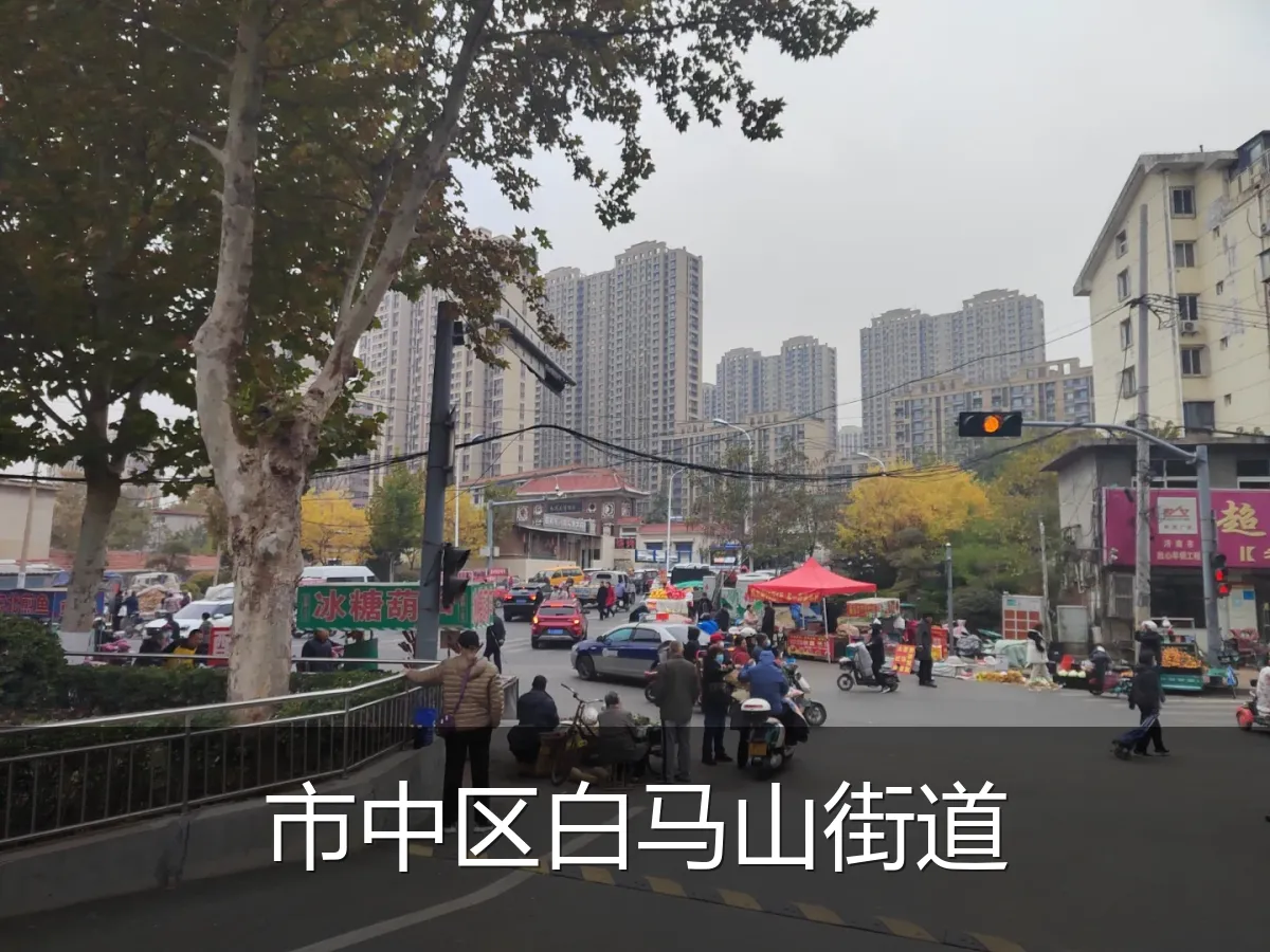 市中区白马山街道