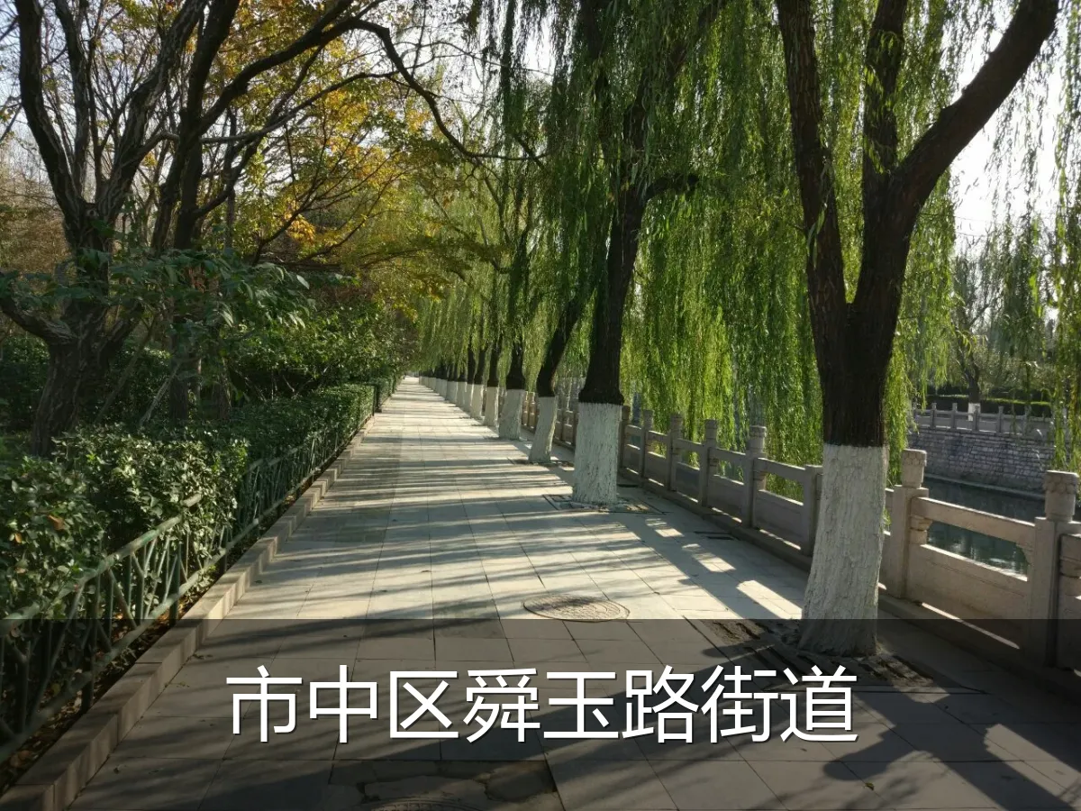 市中区舜玉路街道