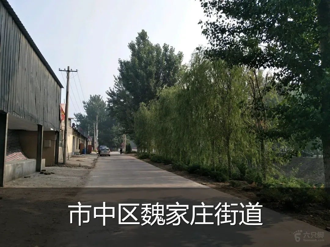 市中区魏家庄街道