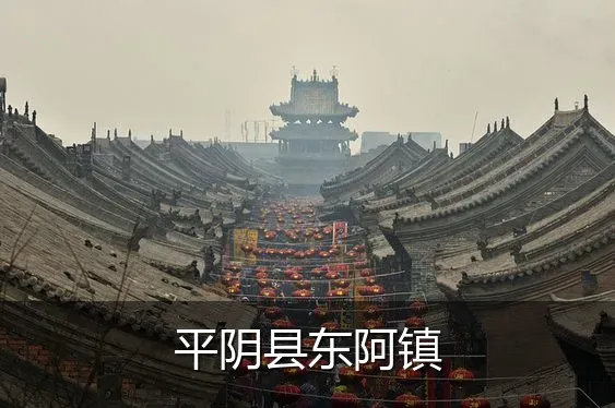 平阴县东阿镇