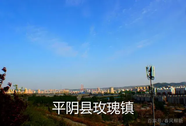 平阴县玫瑰镇