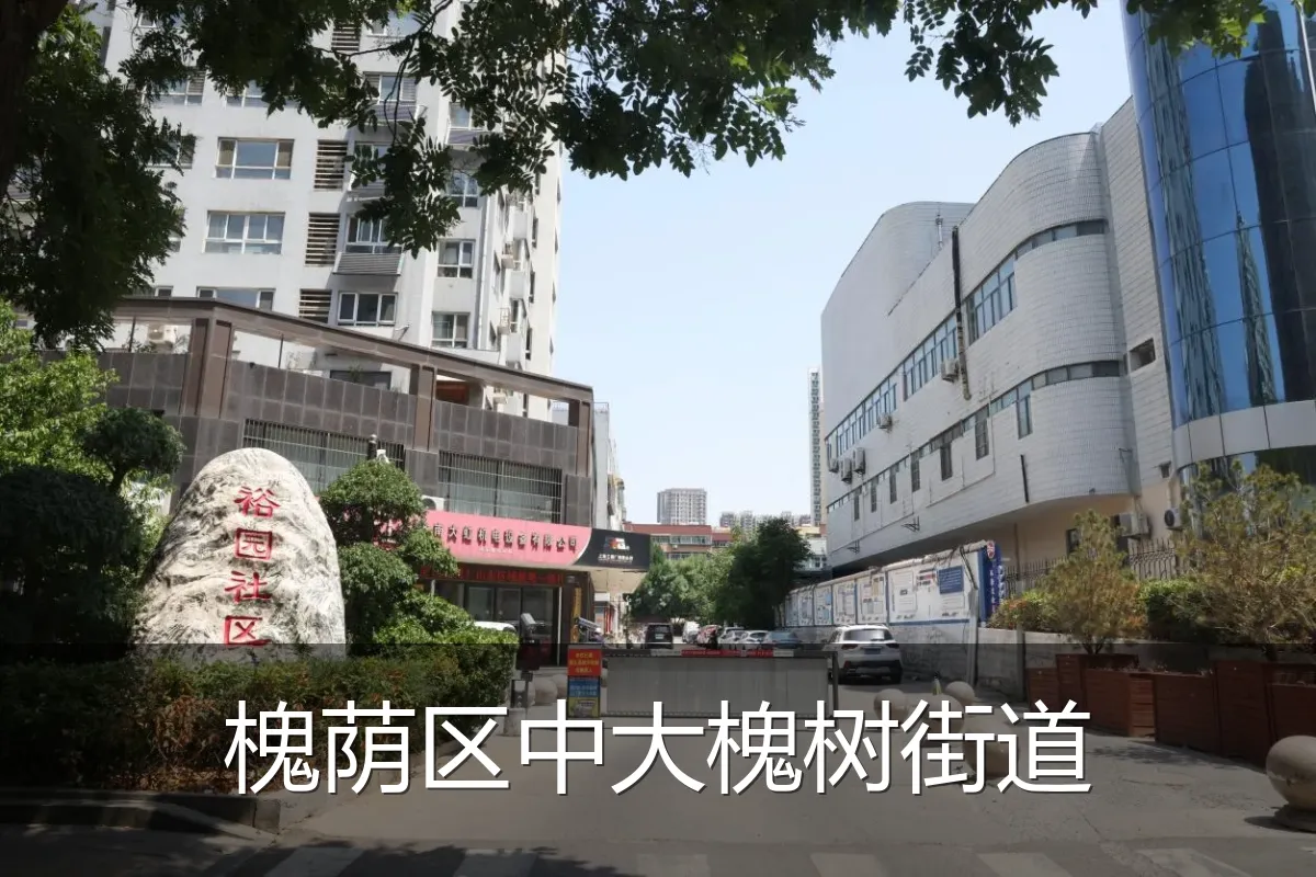 槐荫区中大槐树街道