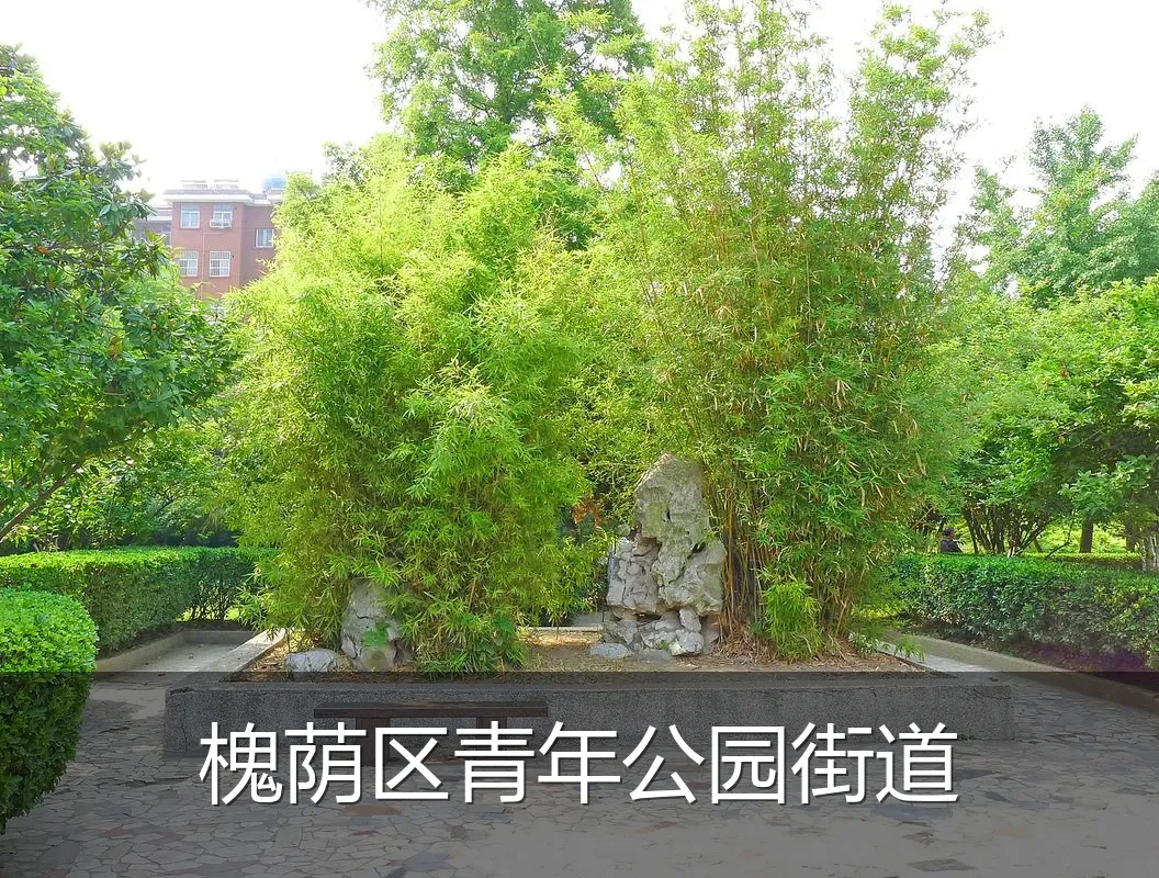 槐荫区青年公园街道