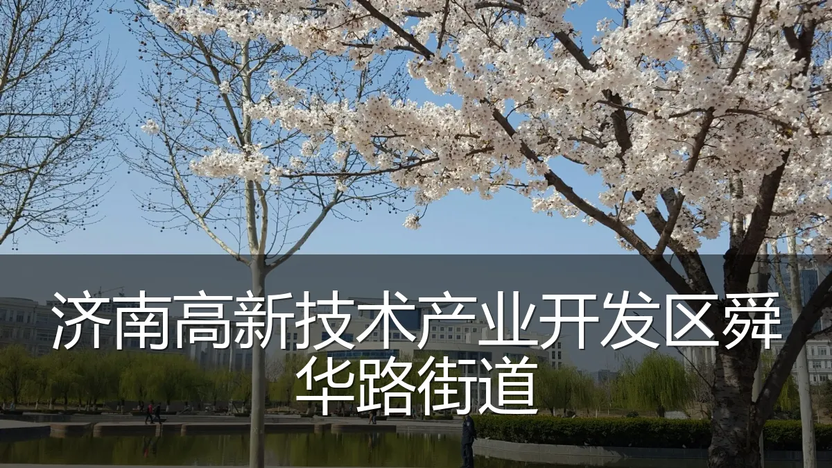 济南高新技术产业开发区舜华路街道