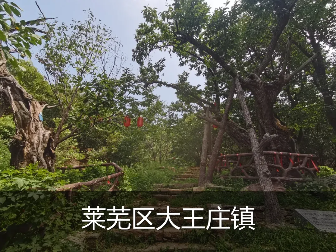 莱芜区大王庄镇