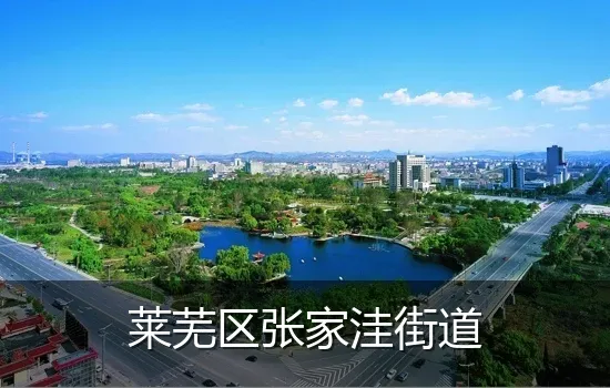 莱芜区张家洼街道