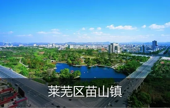 莱芜区苗山镇