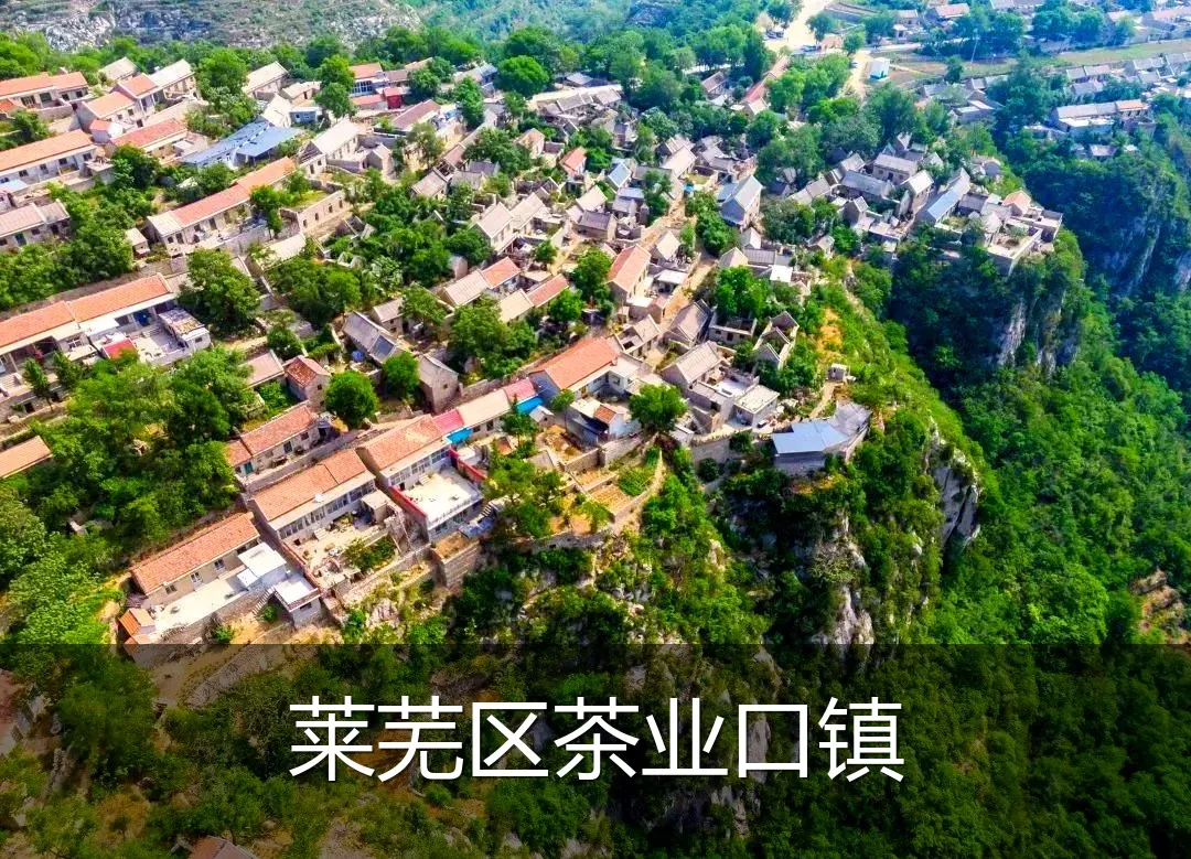 莱芜区茶业口镇