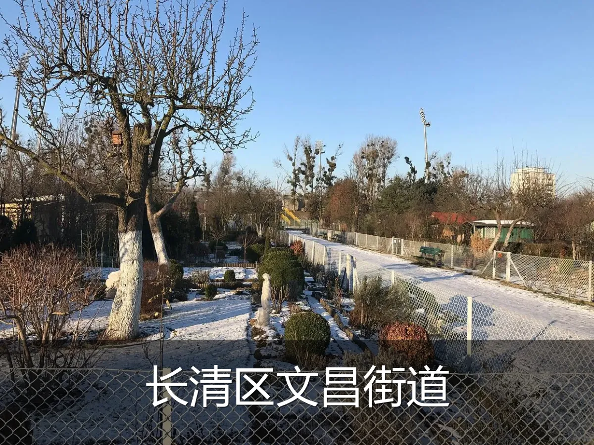 长清区文昌街道
